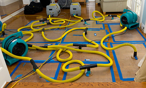 Professional Flood Damage Restoration technician working in Bayport, MN